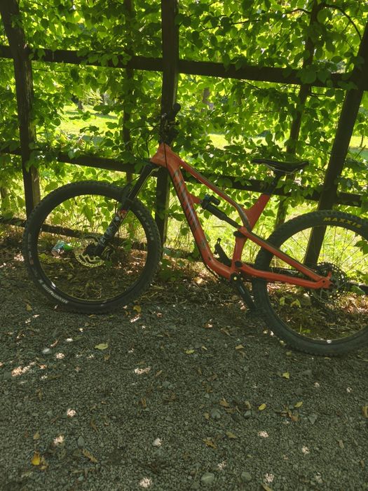 Canyon Specialized