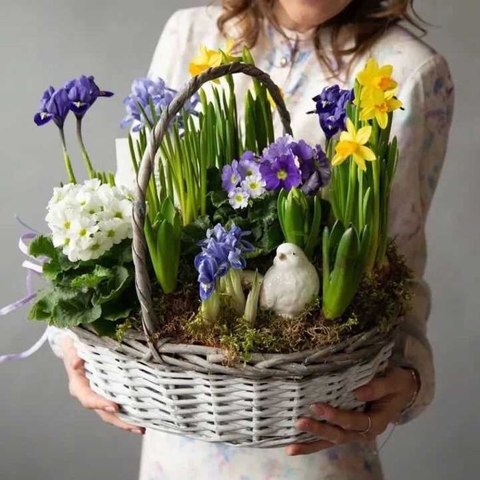 Квіти до 8 березня, букети,кошики