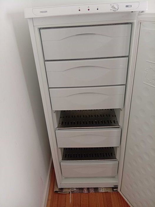 Arca congeladora vertical 7 gavetas