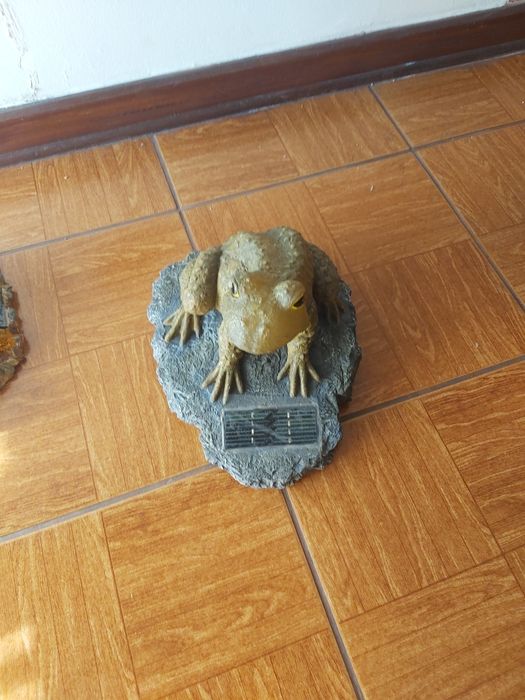 Figuras Decorativas de Jardim com Luz Solar (Sapos e Tartaruga)