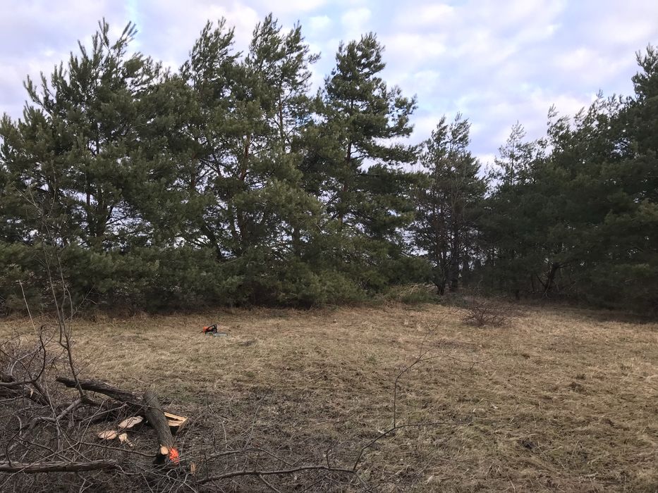 Sprzedam działkę budowlaną 2200m2 z lasem w Ochodze gm. Komprachcice z gazem i prądem.