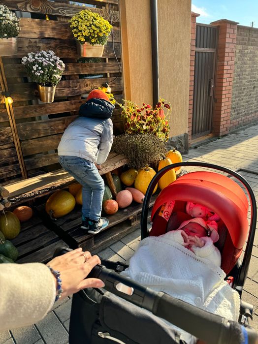 Автокрісло Cybex l size cloud Q