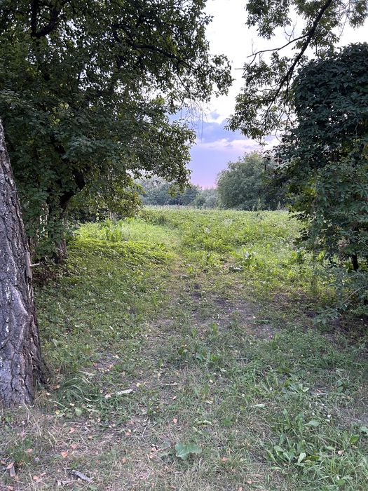 Будинок с Нижні Станівці Вижницький р-н Чернівецької обл