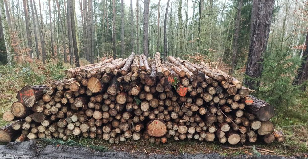 Drewno kominkowe opałowe do wędzenia - suche