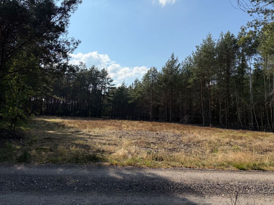 Okazja- 3 działki w cenie 1! - Widok 5