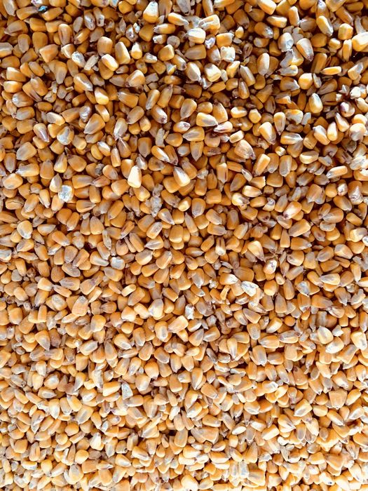 Kukurydza sucha 25kg