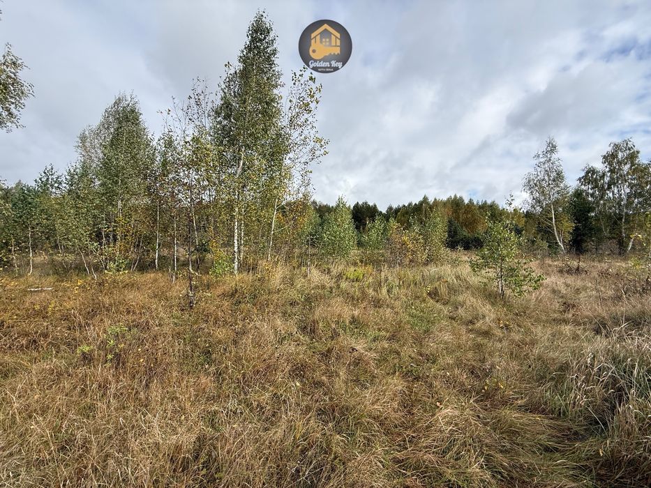 Продам земельну ділянку 7га, серед сосен, с.Рови