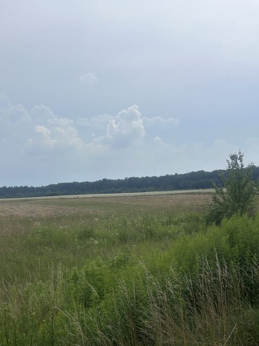 Продаж ділянки 163,5 га с.Бартатів