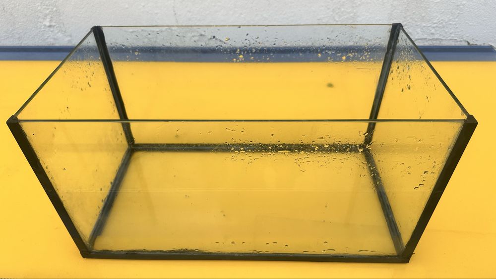 Aquario de 50 cm