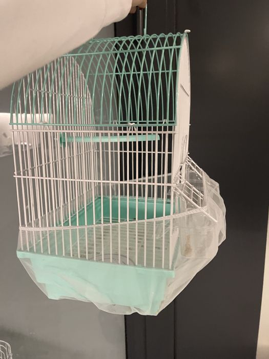 Gaiola Agapone cor verde água