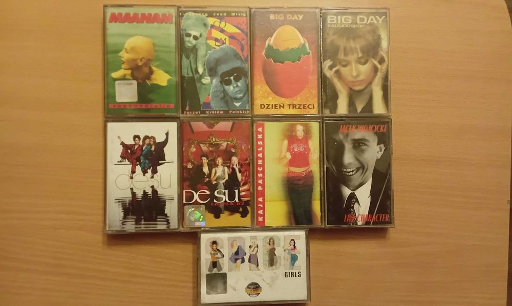 BigDay,Desu,KajaPaschalska,JacekWójcicki,Maanam,T-Raperzy,SpaceGirls.