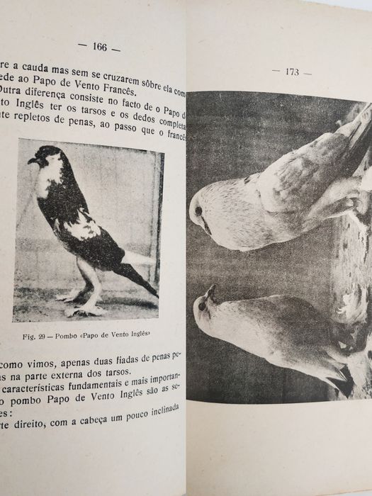 Manual de Columbicultura 1936 pombos