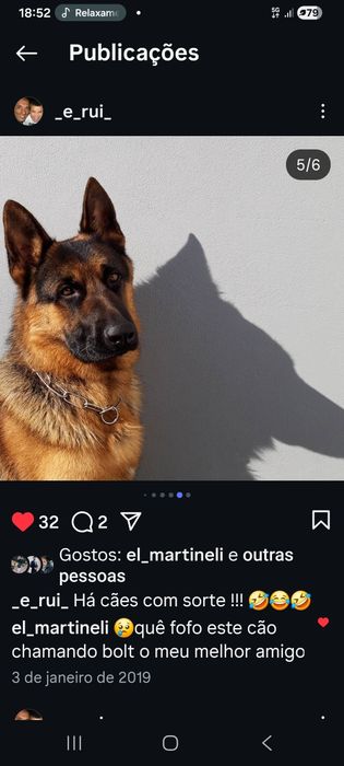 Macho com mto bom LOP  p cruzamento