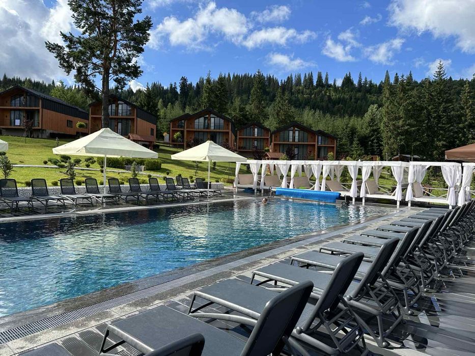 Phoenix Фенікс Буковель котедж-ефективна інвестиція!