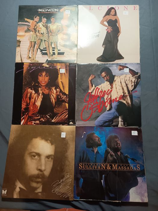 Lote de vinis variados