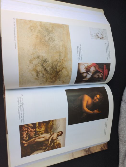 Leonardo da Vinci o vôo da Mente de Charles Nicholl