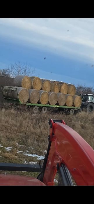 Słoma pszenna160cm 350kg po klawiszu