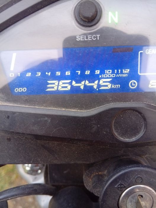 musstang Fit 2 mt-125