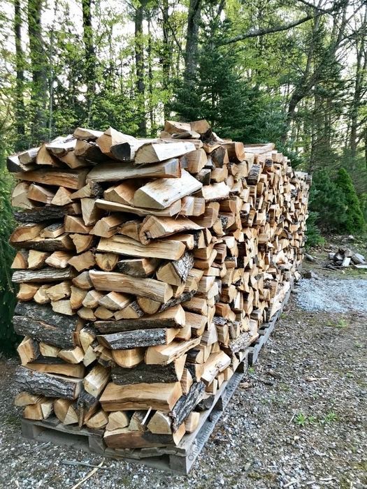Дрова від 6 кубів