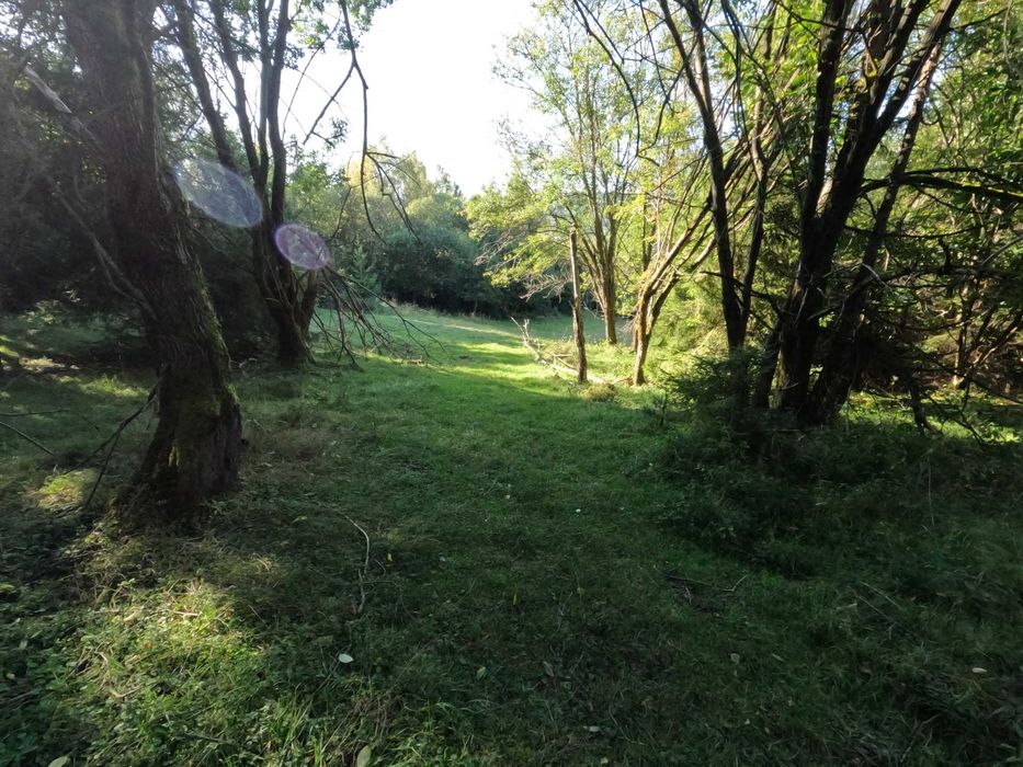 14 Działek w Soli obok Rajczy. 22 141 m². Cena tylko 20zł/m² - Widok 5