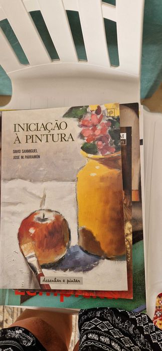 vários livros tema PINTURA