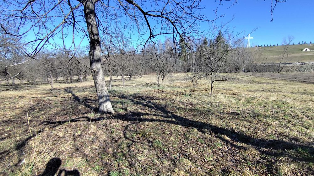 Продається будинок. Старуня. Газ. Вода. Ділянка 46 сот. Ліс. Ластівці