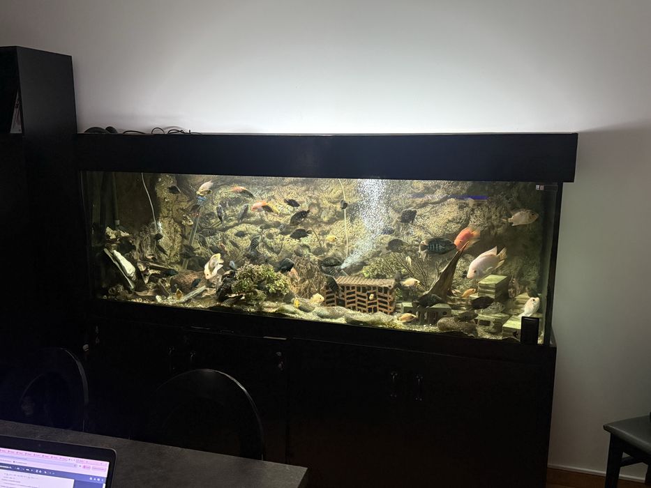 Aquarios diversos tamanhos