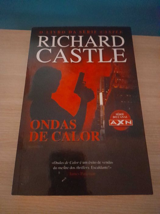 Lote 6 Livros Thriller: Richard Castle, Ken Follett, Daniel Silva, Jodi Picoult e Mais