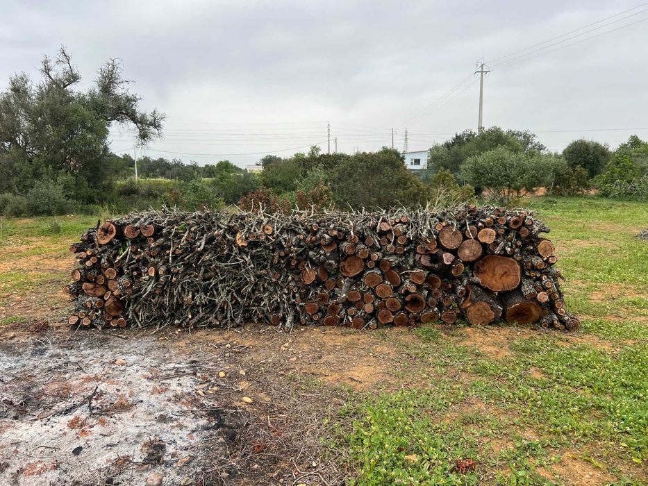 Terreno rústico sito junto à zona urbana de Algoz