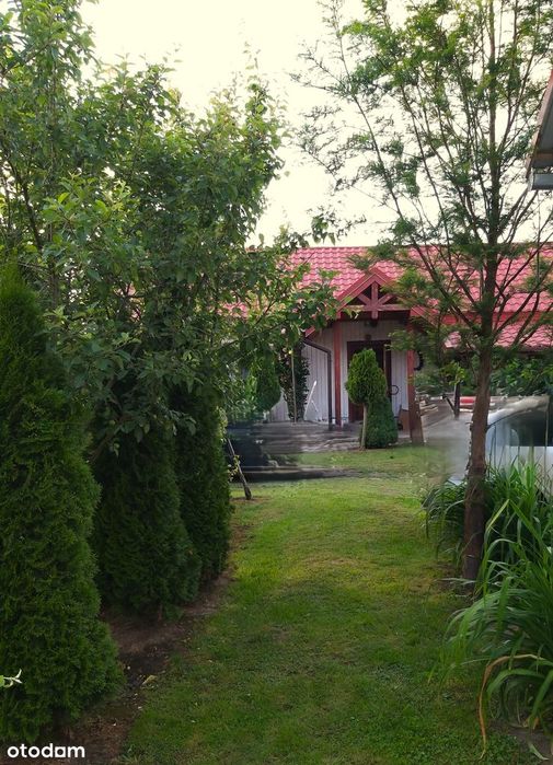 Dom na wsi z potencjałem – 0,2 ha działki, ogród i budynek gospodarczy - Widok 3