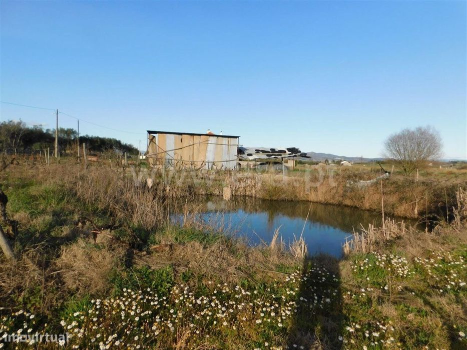 Land Plot / Fundão, Telhado
