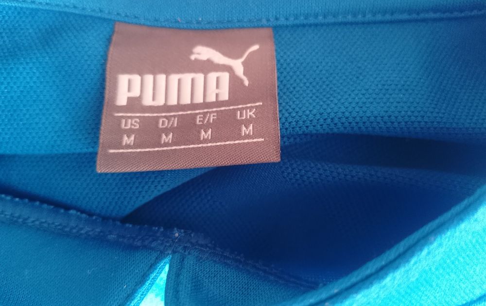 puma (m)        .