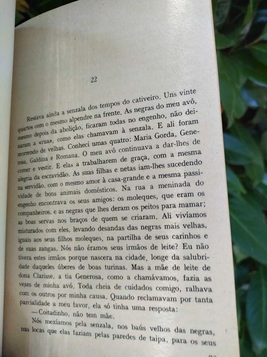 Menino de Engenho (José Lins do Rego)