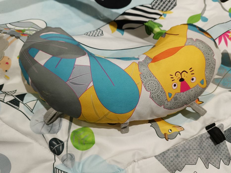 Mata edukacyjna Momi