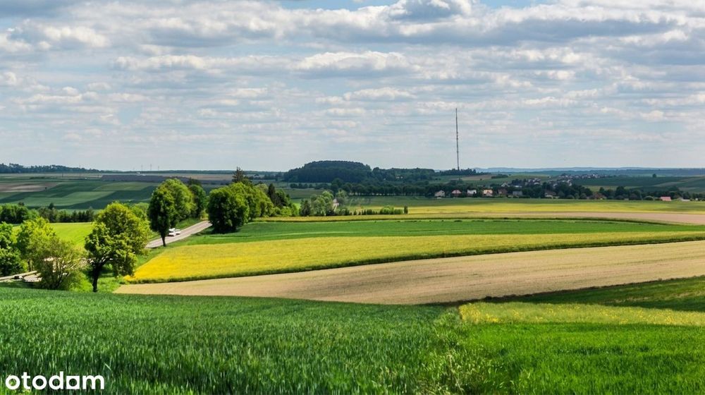 Wspaniała panorama każdego dnia | Działka budowlana 3010 m² Tarnawatka