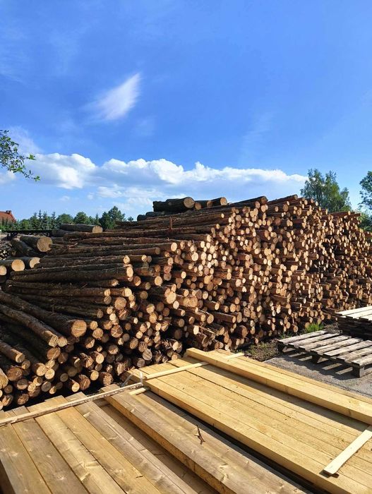 Stemple budowlane sosnowe nowe