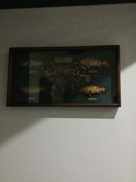 estantes com mini bar