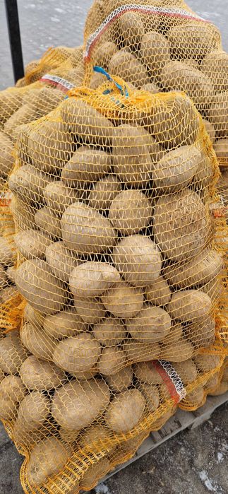 Ziemniaki jurek, gala