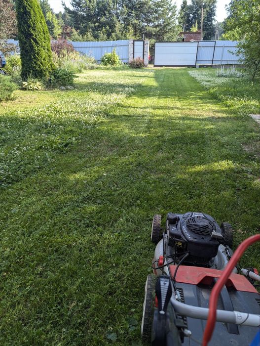 Професійний догляд за садом та територією | Швидко та якісно