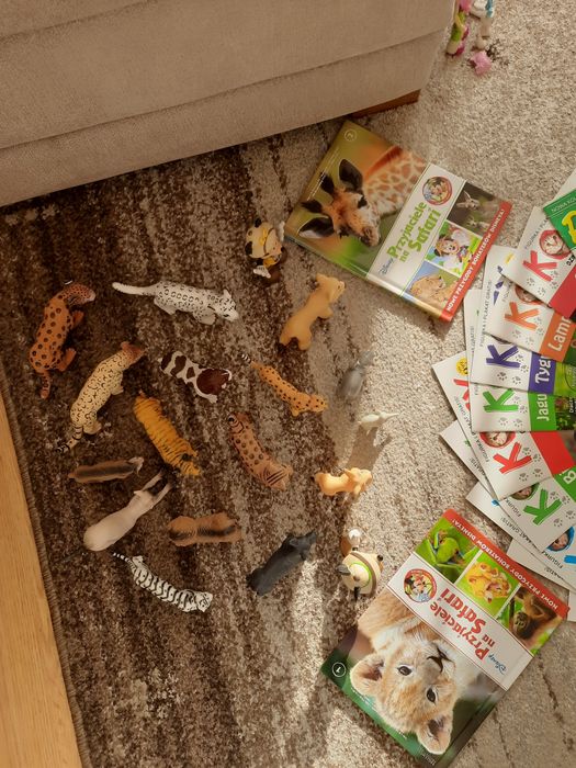 Sprzedam używane figurki zwierząt z gazetkami