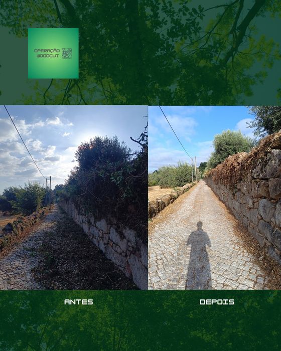 Limpeza de vegetação adjacente a muro