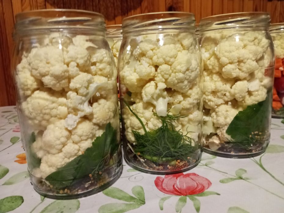 Zakwas z Burakow, z Mlodych Buraczkow, 2025