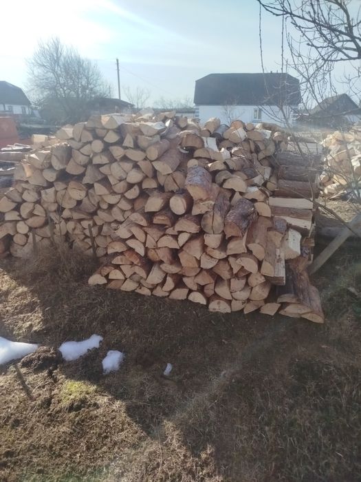 Продам дрова різних порід