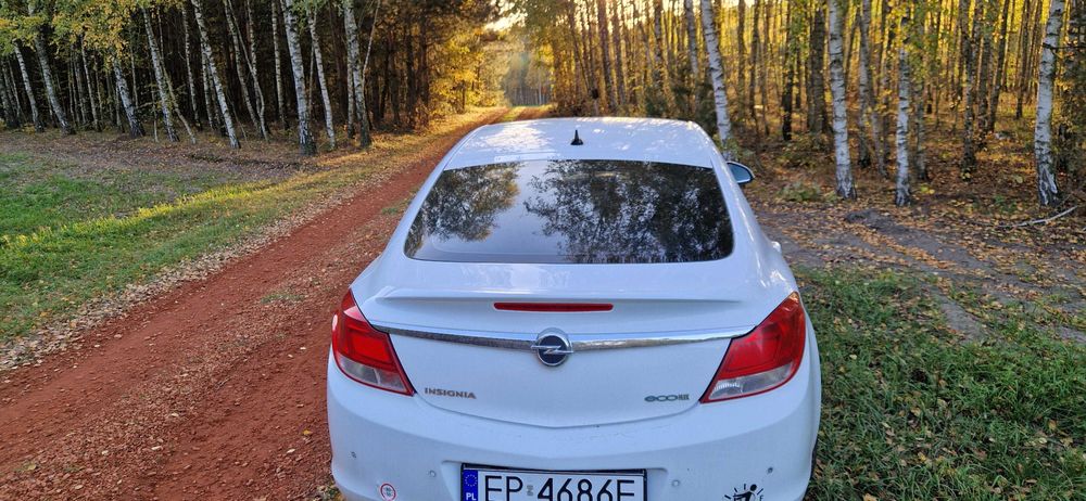Opel Insignia 2011 2.0 diesel ecoflex 118kw