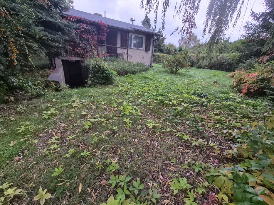 Działka z domkiem Stowarzyszenie Ogrodowe Wierzbinka - Widok 4