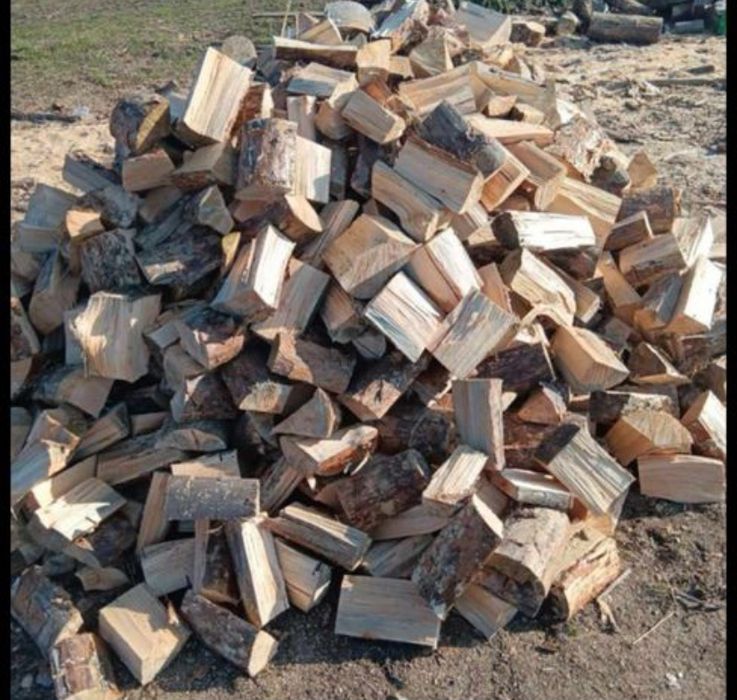 Sucha sosna polupana