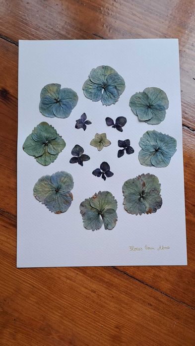 Moldura Coleção Açores- Hortênsia