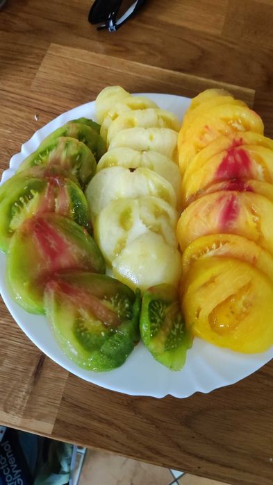 Sadzonki pomidorów kolekcjonerskich
