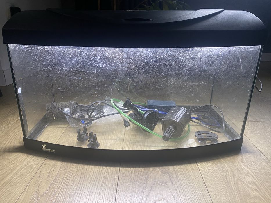 akwarium diversa 60 l
