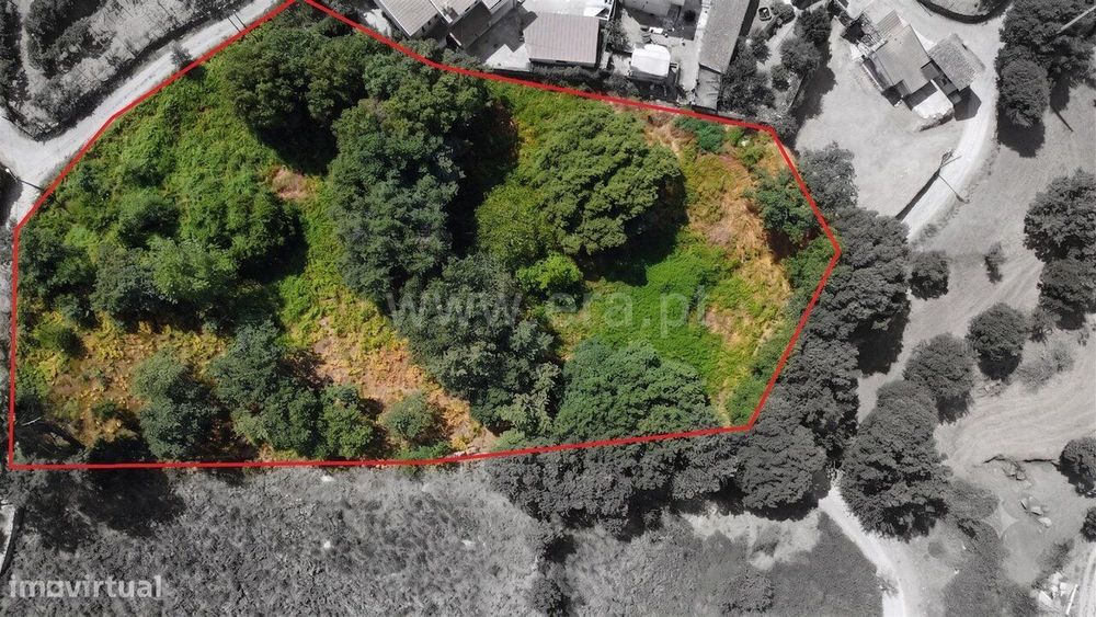 Terreno Agrícola para construção Paredes de Viadores